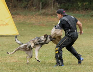 rossa van den ehuvel ipo3 courage